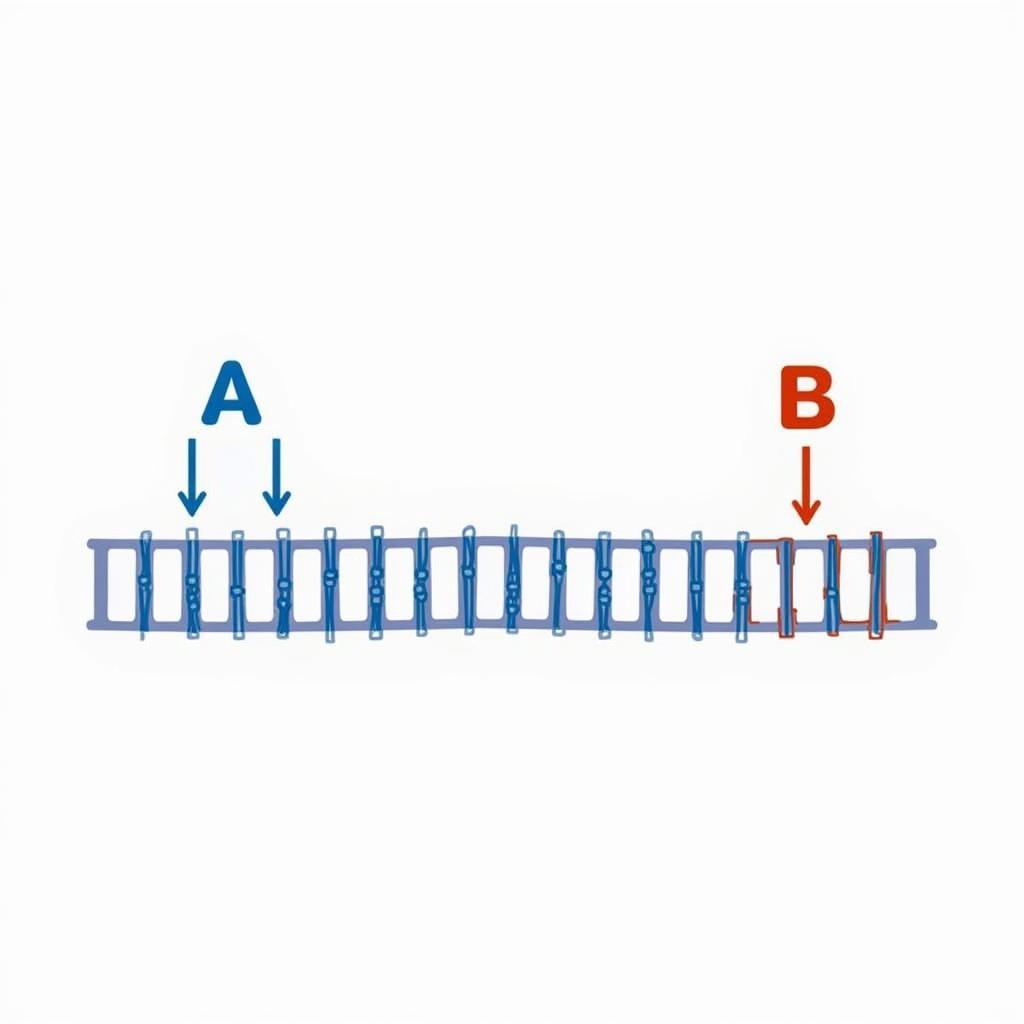 Bảng tóm tắt Liên kết gen