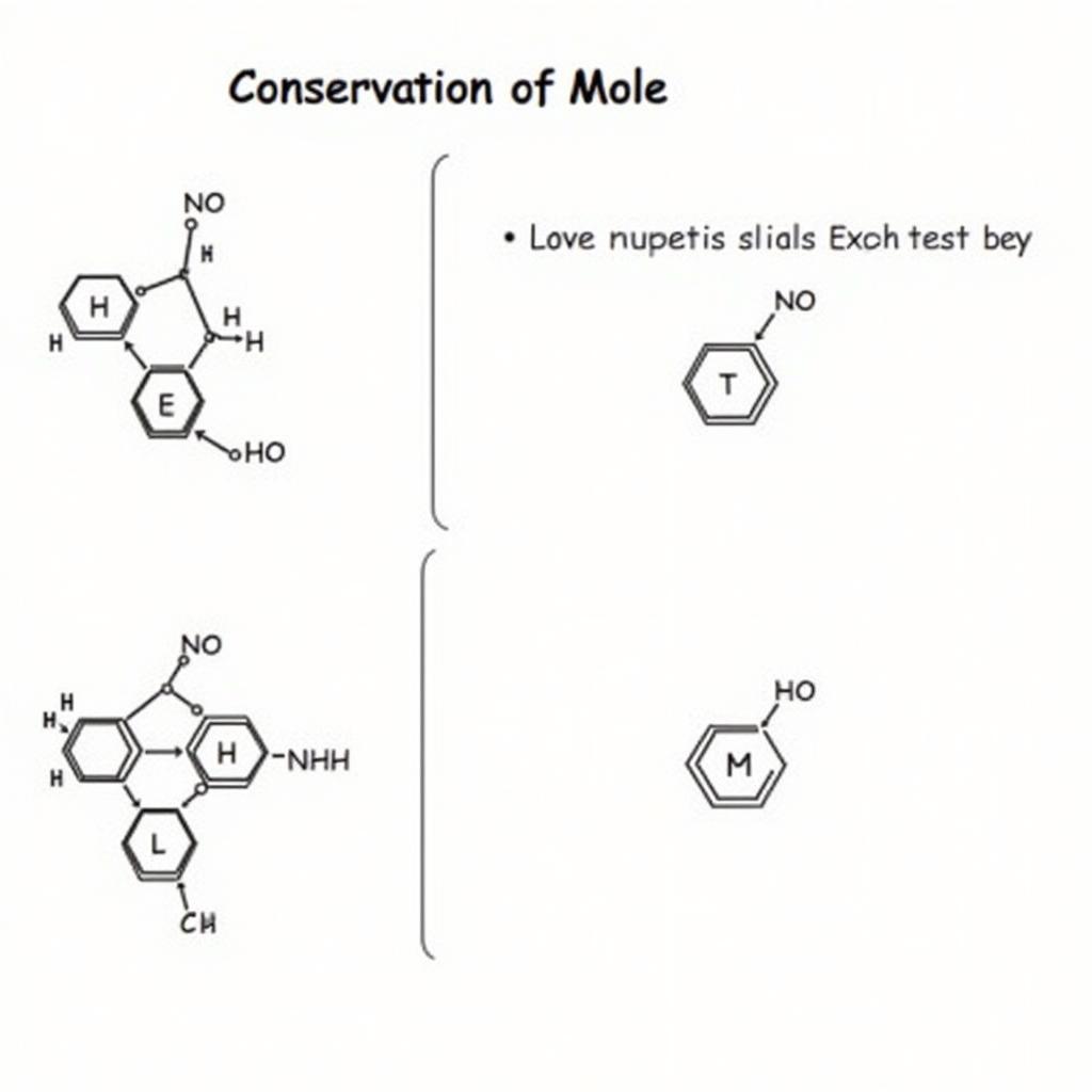 Illustration of the law of conservation of mole