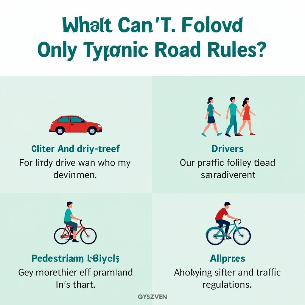 Regulations on Road Users