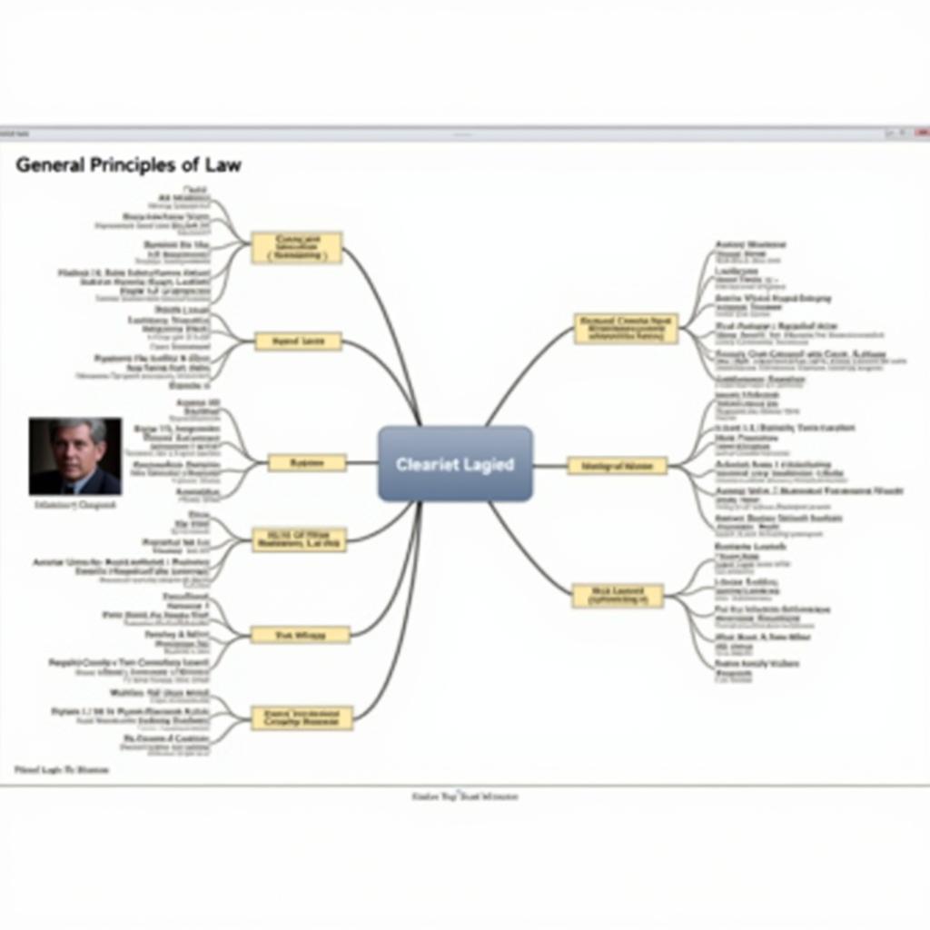 Ví dụ về bản đồ tư duy pháp luật đại cương