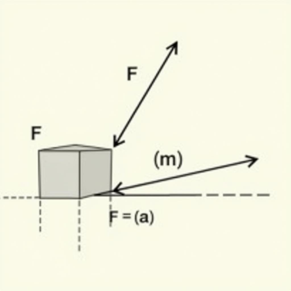 Minh họa Định luật II Newton