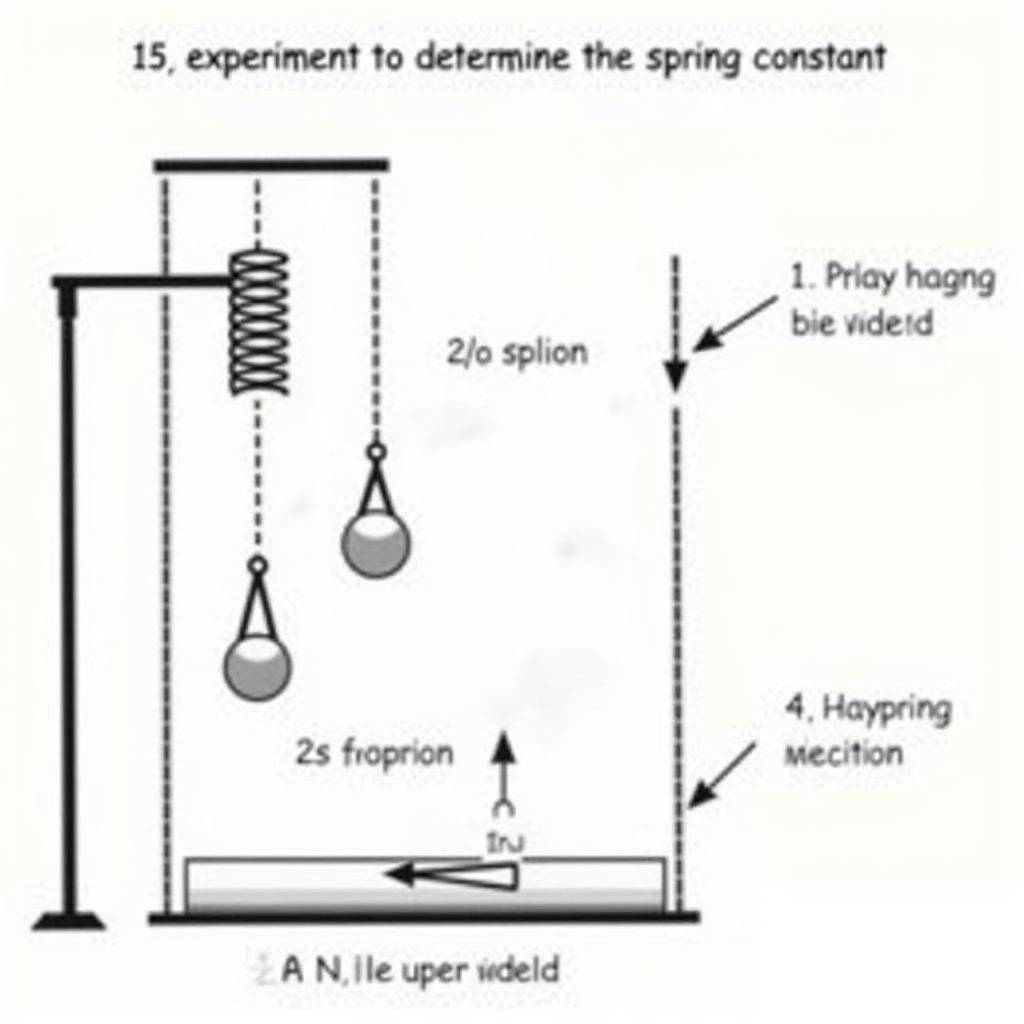 Xác định hằng số đàn hồi