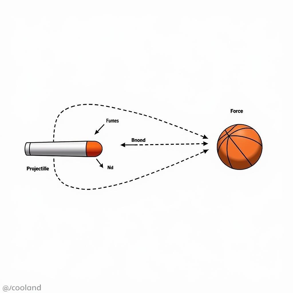 Ứng Dụng Định Luật 2 Newton